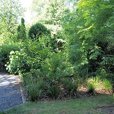 Bed & Breakfast Bed En - Of Zonder - Breakfast Putten