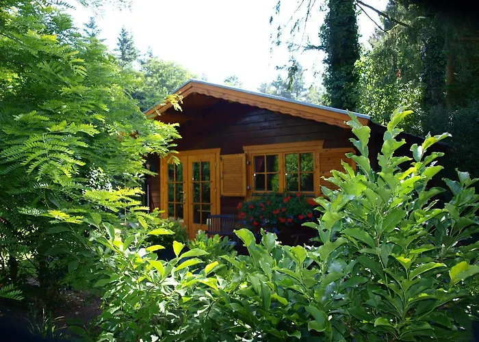 Bed En - Of Zonder - Breakfast