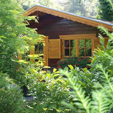 Bed En - Of Zonder - Breakfast Putten