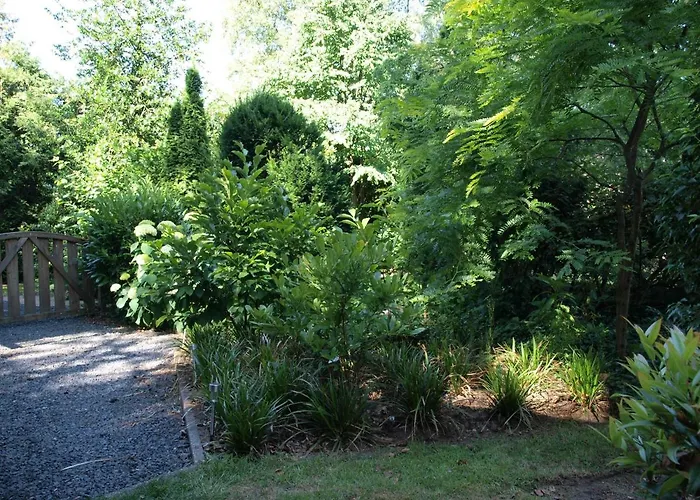 Bed & Breakfast Bed En - Of Zonder - Breakfast Putten