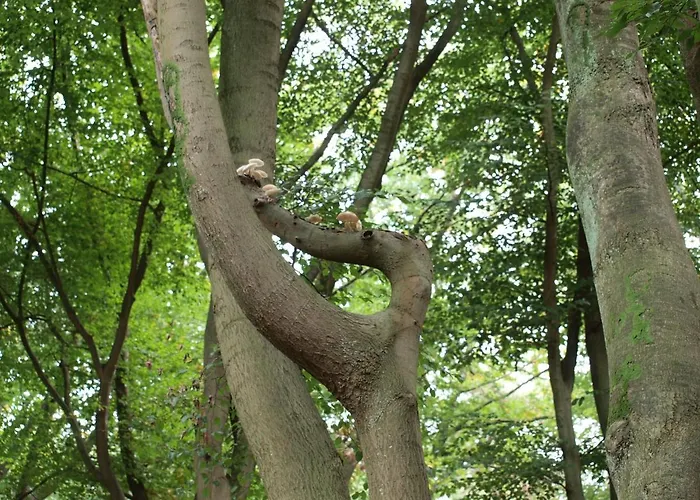 Bed En - Of Zonder - Breakfast 4*