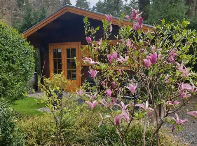 Bed En - Of Zonder - Breakfast 4* Putten